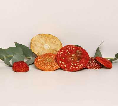 Amanita muscaria grade A